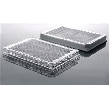 Placas Elisa