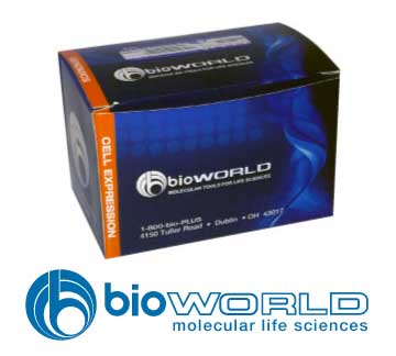 Agar dextrosa Sabouraud de 500 g 30622001 bioPLUS™ BioWorld