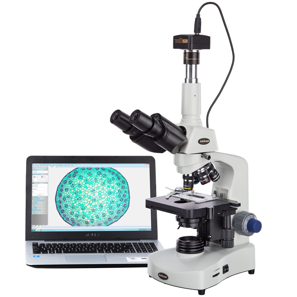 Microscopio compuesto trinocular Siedentopf LED de 40X-2000X 3W + cámara USB de 10MP Amscope T340B-LED-10M