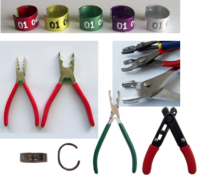Equipo ornitológico para anillamiento Bird Bands