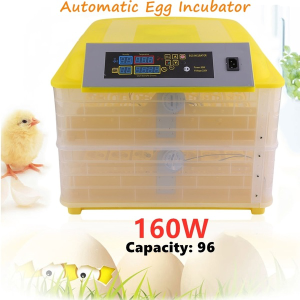 Incubadora automática de 96 huevos de pollos