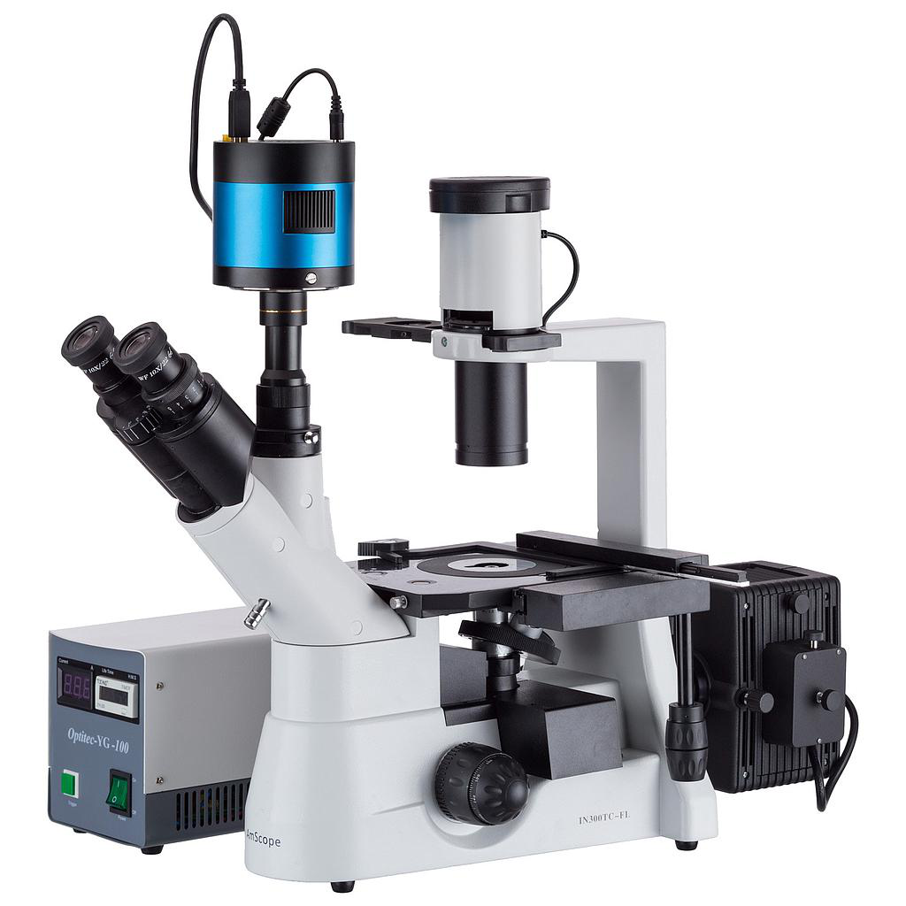 Microscopio de fluorescencia de plan invertido 40x-1000x + cámara CCD de poca luz Amscope IN300TC-FL-MF603