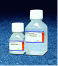Acetonitrilo Grado HPLC  99.9 % / BioWorld / 40170003-1