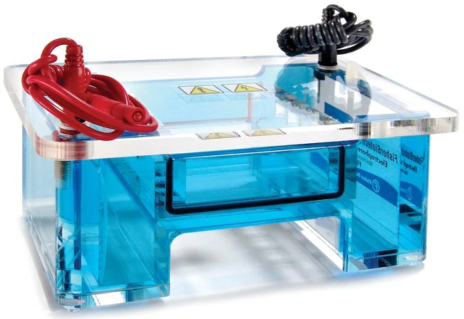 Sistemas de electroforesis horizontal Fisherbrand ™  FB-SB-1316- MIDIGEL