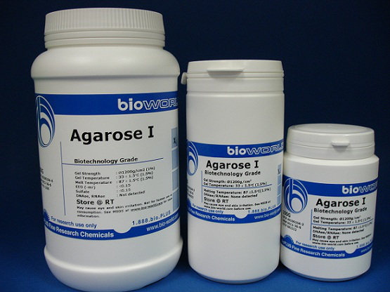 Agarosa, Grado de Biología Molecular x 1 kg marca BioWorld cod.