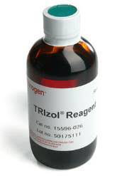 Reactivo TRIzol,  Invitrogen ™ x 100 ml , 15596026