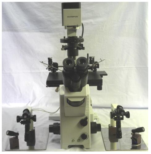 Micromanipuladores