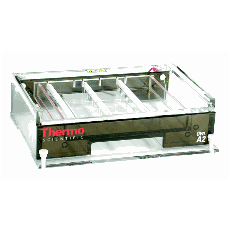 Thermo Scientific Owl A2 Sistemas de gel grandes de electrforesis 20 x 25 cm