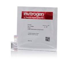 Tinción en gel para ADN seguro, SYBR x 450 gr-Concentrado 10,000X en DMSO, Invitrogen S33102