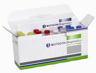 Kit de Cuantificación Dekkera Biotecon / R 302 08