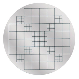 Retícula de Wolfhuegel y discos de segmentación (paquete de 10) Modelo SC6 / 2