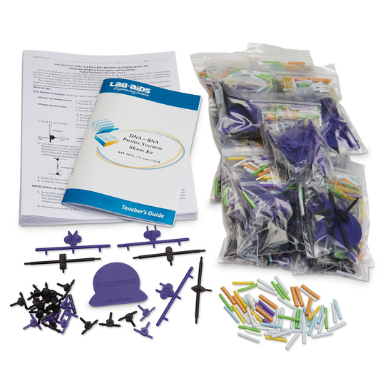 Kit para el Estudio del Código Genético Lab Aids SB20188