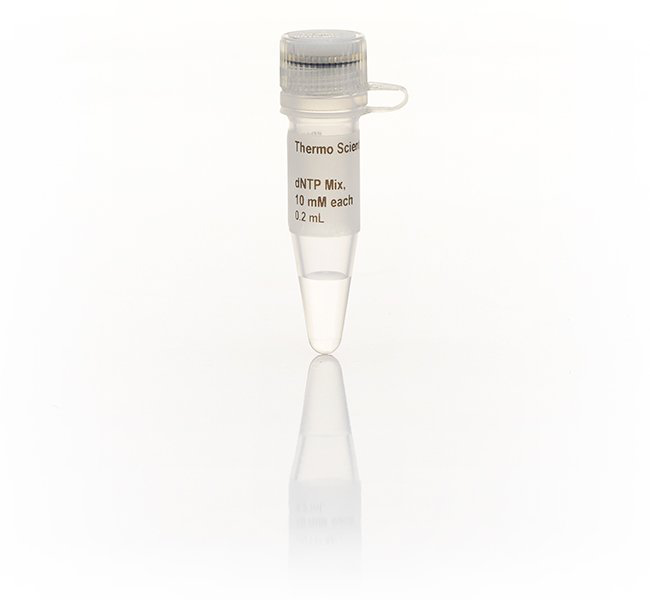 dNTP mix (10 mM) x 1 ml