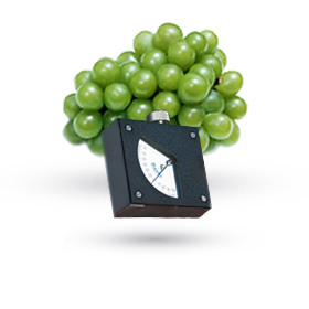 Durómetro para fruta (arándanos, uvas) Baxlo 53505/F0