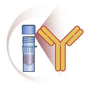 Goat Anti-Human IgG (H&L) Antibody (Polyclonal IgG) bioPLUS 20320011-2