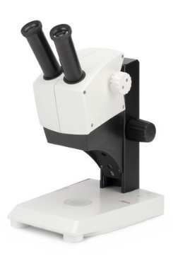 Estereomicroscopio con cámara WiFi integrada / Leica / EZ4 W