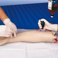 Brazo para la punción de arterias, 3BScientific 1005598 [W44022]