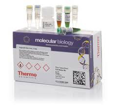 Mezcla maestra de PCR Phire Tissue Direct,  Thermo Scientific ™ F170S