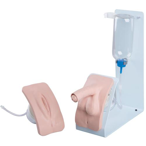 Set de simulador de cateterismo BASIC, 1020842 [P93B-S], marca 3BScientific