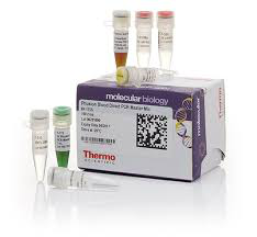 Mezcla maestra de PCR Phusion Blood Direct, Thermo Scientific ™ F175L