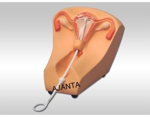 Simulador de entrenamiento DIU: Dispositivo intra uterino, AJANTA- B01M1V54JP, RPC