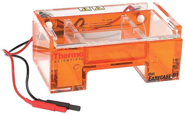 Electroforesis sistema Thermo Scientific / B1A