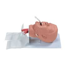 Entrenador de vías respiratorias en adultos Simulaids 1005780 [W44687]