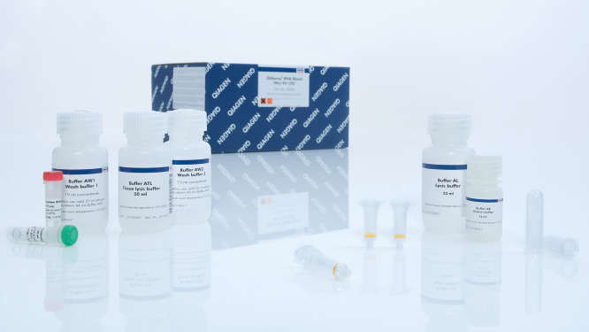 Mini kit de sangre de ARN QIAamp (50) Qiagen 52304