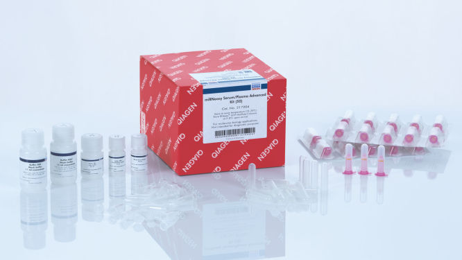 Kit avanzado de suero/plasma miRNeasy (50) Qiagen 217204