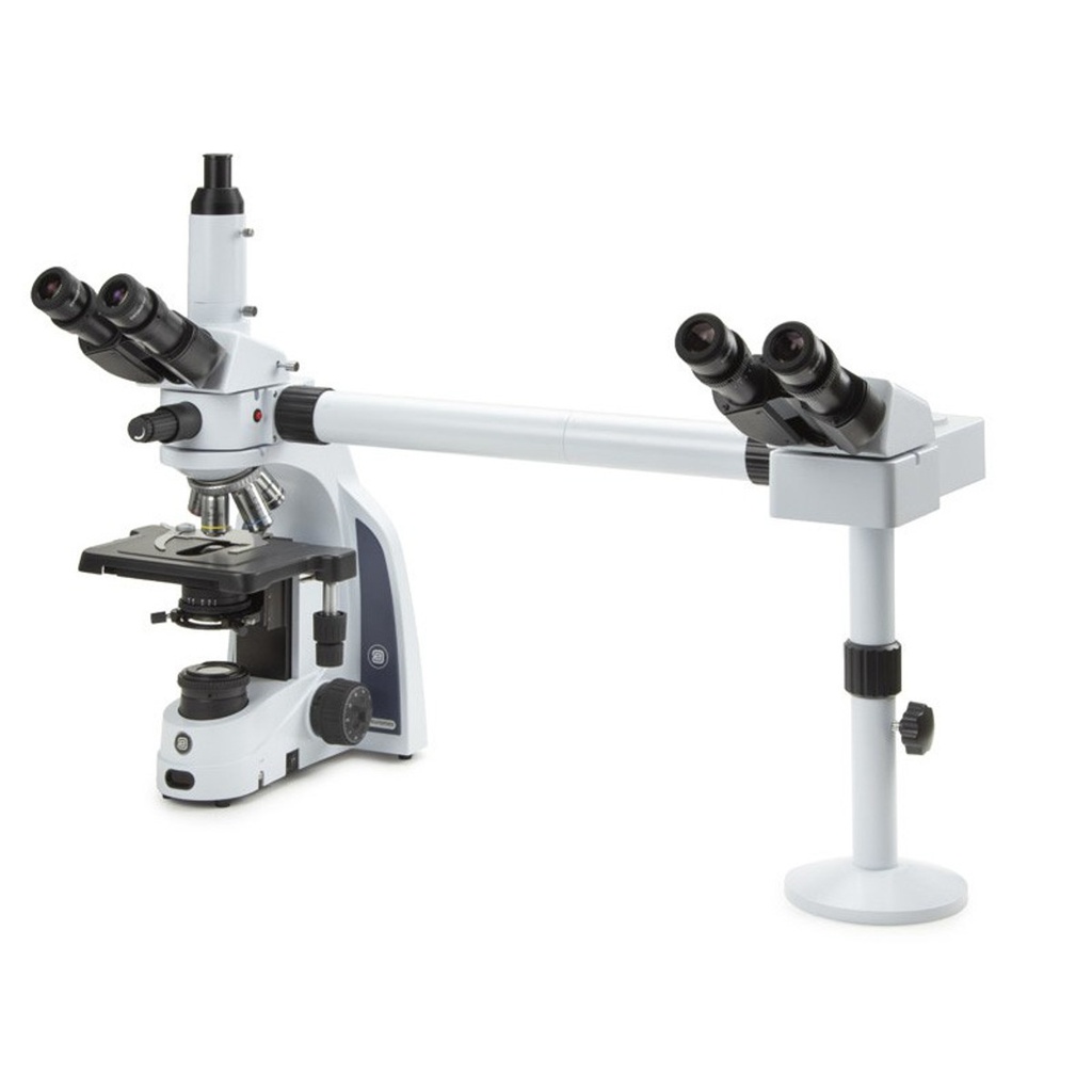 Microscopio didáctico de dos cabezales Euromex IS.1156-PLi2