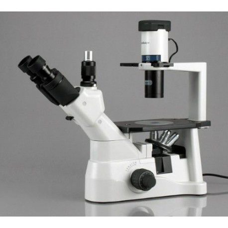 MICROSCOPIO DE CULTIVO DE TEJIDO INVERTIDO CON CONTRASTE DE FASE INFINITO 40X-600X /AMSCOPE IN400T