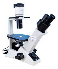 Microscopio de contraste de fase invertida Olympus CKX31