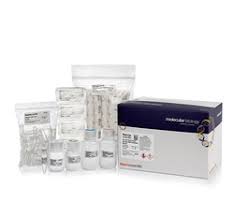 Minikit de purificación de ADN genómico de sangre total GeneJET Thermo Scientific K0781