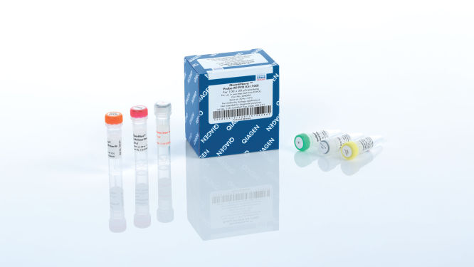 Kit de RT-PCR de sonda QuantiNova (100) Qiagen 208352