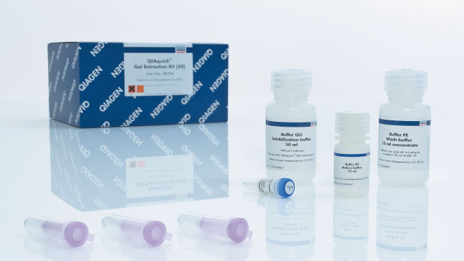 Kit de extracción de gel QIAquick (50) Qiagen 28704