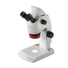 Microscopio estereoscópico digital 8x a 35x con cámara Labomed Luxeo 4D
