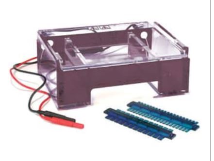 Equipo de Electroforesis – Mini Agarose Gel System 12 × 14 cm (DNA Plus)