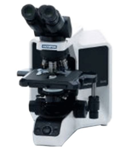 Olympus BX43 Binocular Microscope