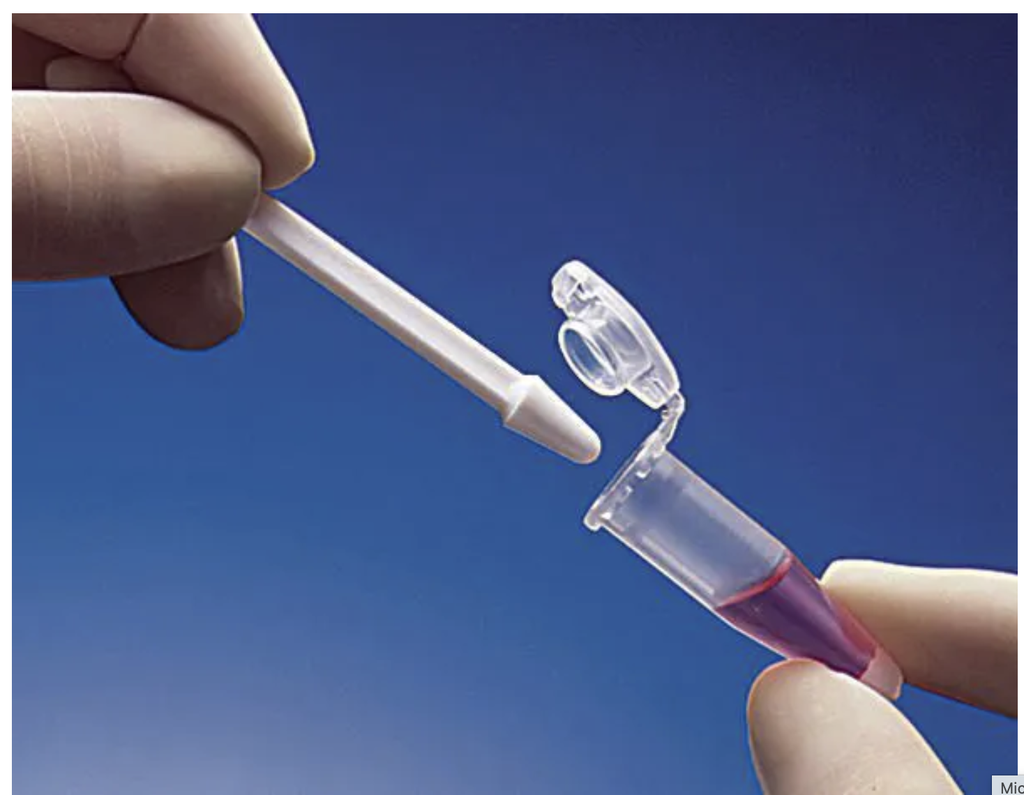 Micropistilos (Micropestles) – Paquete de 10 unidades