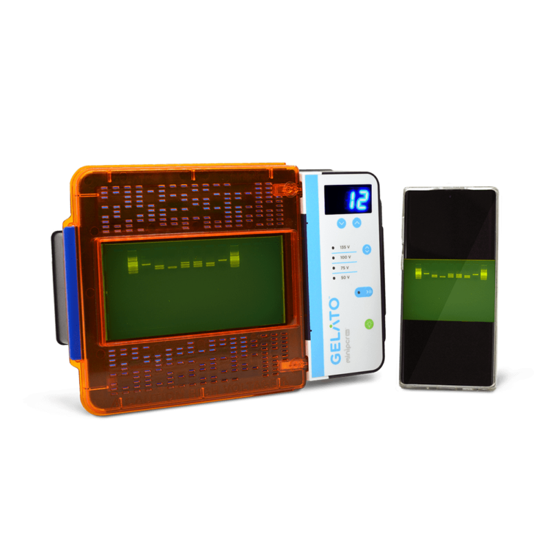 Sistema de electroforesis y visualización GELATO
