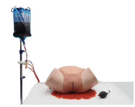 Simulador de hemorragia posparto – PPH Trainer P97 PRO, color piel claro 3B Scientific 1023727 [P97P]
