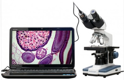 Microscopio compuesto binocular digital de 40X-2500X LED con cámara 3D Stage + 5MP USB AmScope  B120C-E5