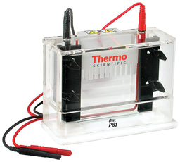 Sistema de Electroforesis Vertical de un Solo Lado, gel 10 x 10 cm Thermo Scientific P81