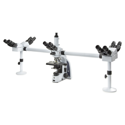 Microscopio didáctico de cinco cabezas iScope / Euromex / IS.1156-PLi5