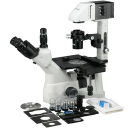 Microscopio invertido de cultivo de fases, con plataforma mecánica 40X-900X 