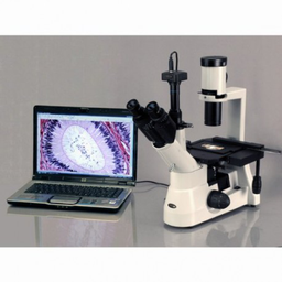 Microscopio invertido trinocular marca AmScope IN300TC-5MA desde 40x a 1000x camara 5 mp