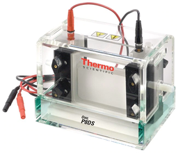 Sistemas de Electroforesis Vertical de Doble Gel/ Thermo Scientific Owl P8DS-2