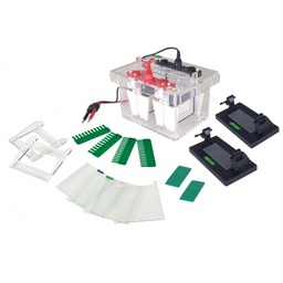 Mini Vertical Electrophoresis Cell (4 gels, 10 x 10cm) BT Lab Systems BT203