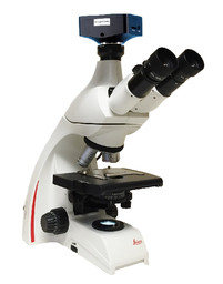 Leica Fluorescence stereo microscope Leica M205 FCA, semi-automated with manual zoom