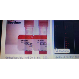 GelRed® Gel colorante para acidos nucleicos 10,000x en agua Biotium 0.5 mL #41003